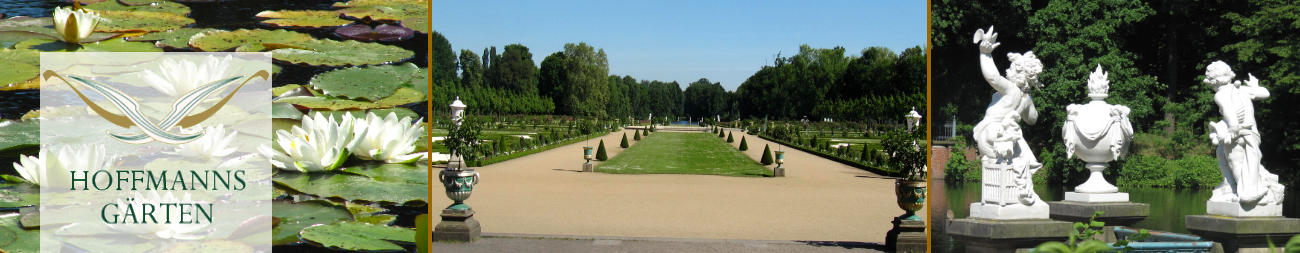 Schlosspark Charlottenburg