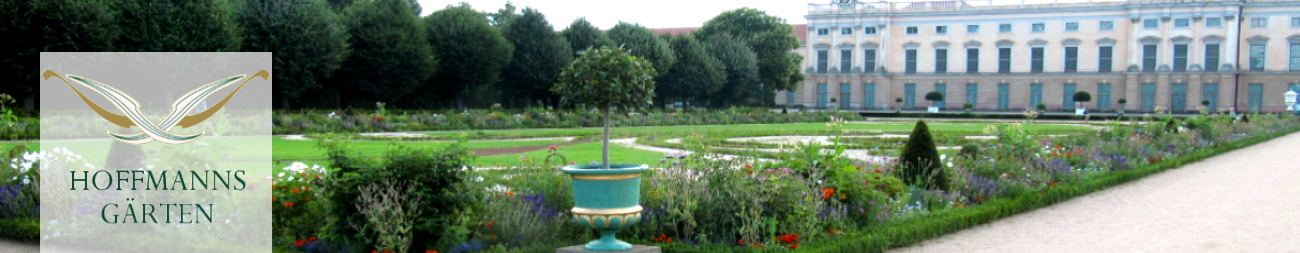 Rosengarten im Tiergarten