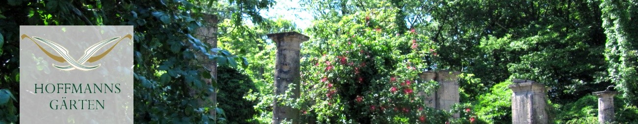 Volkspark Rehberge Wiesenraum