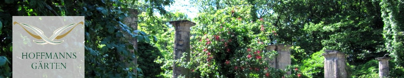 Volkspark Rehberge Wiesenraum